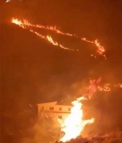 意大利西西里岛森林火灾已致2人死亡