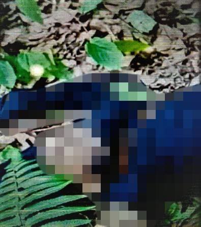菲律宾军方通报：击毙一名恐怖组织阿布沙耶夫的高级领导人