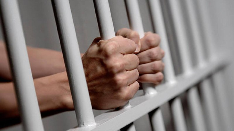 迪拜：试图在香蕉盒中走私毒品的男子被判入狱 10 年